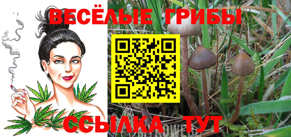 Галлюциногенные грибы GOLDEN TEACHER Москва